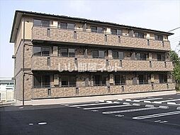 オリエンタル岡弥B 303