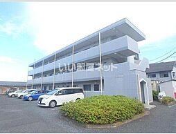 ハイルネッサンス　A 205