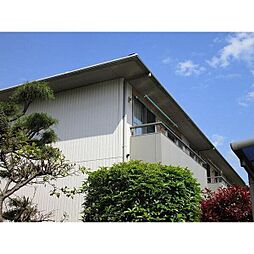 ヒラソールマルセイIII 2-105