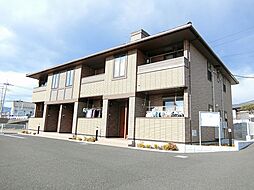 コッティII　310