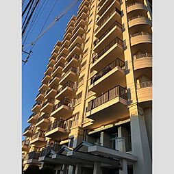 コットンアイランドアルテ 909