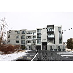 ao akua CTS (アオアクアシーティーエス) 205