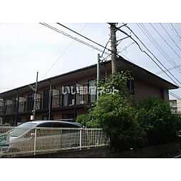 アムール クララ 104