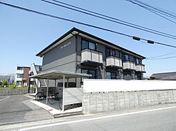 フローラルヒカリ 101