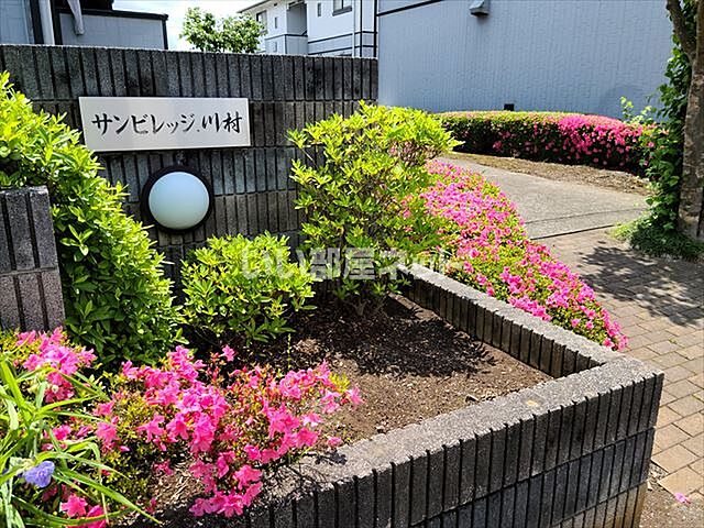 6 / 9