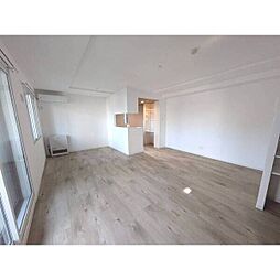 Andre Marseille(アンドレ マルセイ) 2LDKの写真