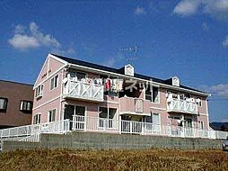 フレグランスビバ