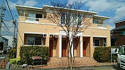 ソフィイコート