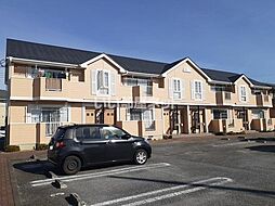 エルフハット 101