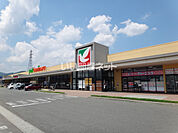 【ショッピングセンター】ヨークベニマル上山店まで1500ｍ