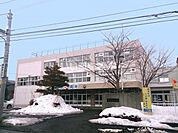【小学校】しらかば台小学校まで550ｍ