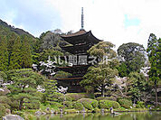 【寺院・神社】瑠璃光寺まで991ｍ