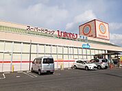 【ドラッグストア】スーパードラッグひまわり 戸手店まで1425ｍ