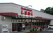 【その他】しまむら酒々井店まで314ｍ