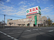 【スーパー】エコス 境SC店まで1351ｍ