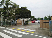 【小学校】熊本市立中島小学校まで3986ｍ