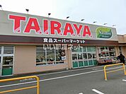 【スーパー】TAIRAYA　川島店まで679ｍ