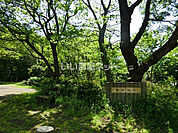 【公園】桜台公園まで4148ｍ