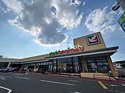 【スーパー】ヨークベニマル　仙台西の平店まで1330ｍ