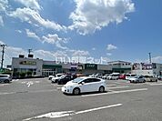 【スーパー】みやぎ生協　柳生店まで409ｍ