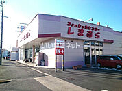 【その他】しまむら豊川店まで293ｍ