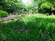 【公園】森林公園まで834ｍ