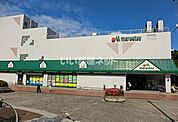 【スーパー】マルエツ　北柏店まで837ｍ