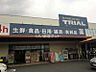 周辺：【スーパー】スーパーセンタートライアル岐南店まで656ｍ