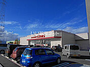 【その他】しまむら真正店まで1207ｍ