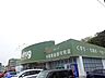 周辺：【ドラッグストア】V・drug 西可児店まで1578ｍ