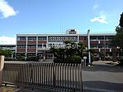 【小学校】多度津町立多度津小学校まで338ｍ