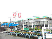 【ホームセンター】コメリハード＆グリーン津屋崎店まで854ｍ