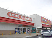 【スーパー】プライスカット 天理北店まで815ｍ
