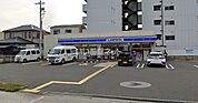 【コンビニエンスストア】ローソン遠里小野店まで1100ｍ