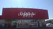 【ドラッグストア】ゴダイドラッグ豊岡店まで663ｍ