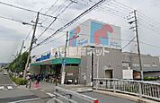 【スーパー】万代今川店まで1324ｍ