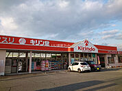 【ドラッグストア】キリン堂　小野本町店まで588ｍ
