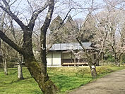 【公園】佐倉城址公園まで1352ｍ