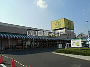 【スーパー】いなげや 青梅師岡店まで825ｍ