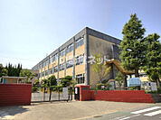 【小学校】松戸市立稔台小学校まで770ｍ