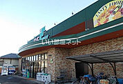 【スーパー】ファンズ丸子店まで1183ｍ