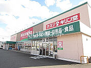 【ドラッグストア】キリン堂 北島店まで1407ｍ