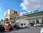 【スーパー】ハローズ　笠岡店まで1165ｍ