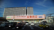 【ドラッグストア】スーパードラッグひまわり 船越店まで314ｍ