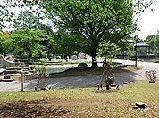 【公園】平塚市総合公園 (HELLO CYCLING ポート)まで687ｍ