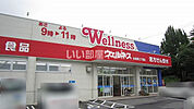 【ドラッグストア】ウェルネス薬局 古志原三丁目店まで1095ｍ