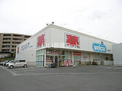 【ドラッグストア】ウエルシア東浦生路店まで810ｍ