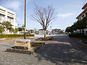 【公園】南岩崎台公園まで557ｍ