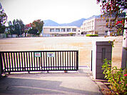 【小学校】甲府市立相川小学校まで396ｍ