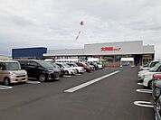 【スーパー】大阪屋　松任相木店まで113ｍ